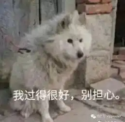 双十一逼我把8块钱的食材做出了花