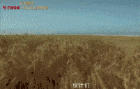 最近武林外传的表情包为啥这么火