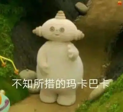 在上海师范大学就读是什么体验