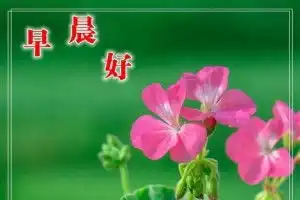 期待的搞笑表情问候语