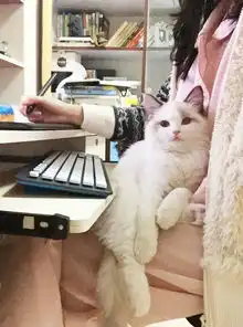 眨眼wink表情包gif大表