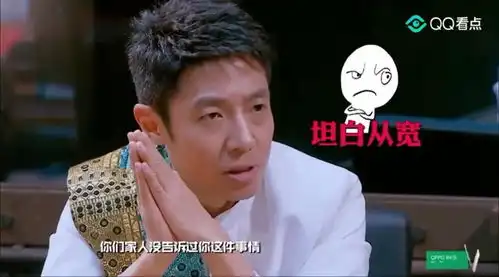 明星大侦探与侦探一一对质王嘉尔,一脸真挚的表情