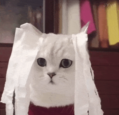 美爆了就在家门口南昌这些地方要火