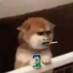 吸烟表情包视频左晨曦