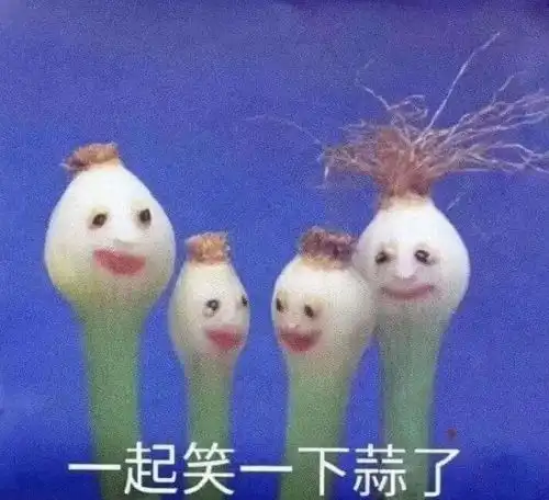 接单表情包搞笑布谷鸟