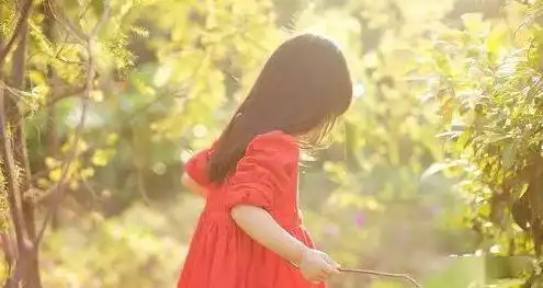 这将会是2020年最走红,最犀利的一段话太精辟了