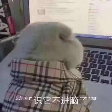 320万人挤破脑袋想去的现场,我替你们打卡了