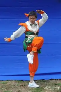 葫芦娃斗图动态表情包孙