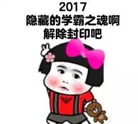 2017,让我们重启程序,许个愿吧