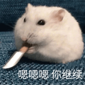 10.23我走就是了丨抖音热门图