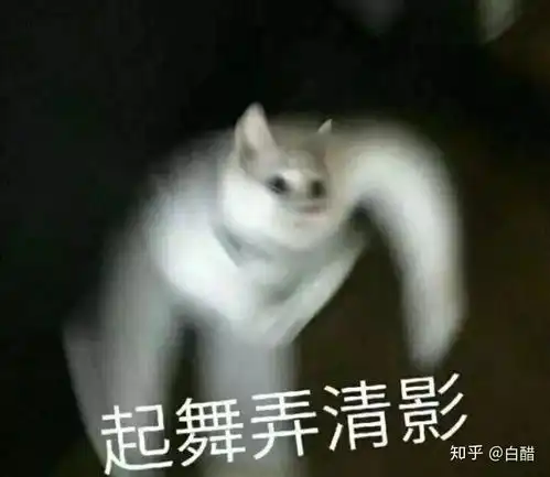 搞笑动物表情包动图蹦迪