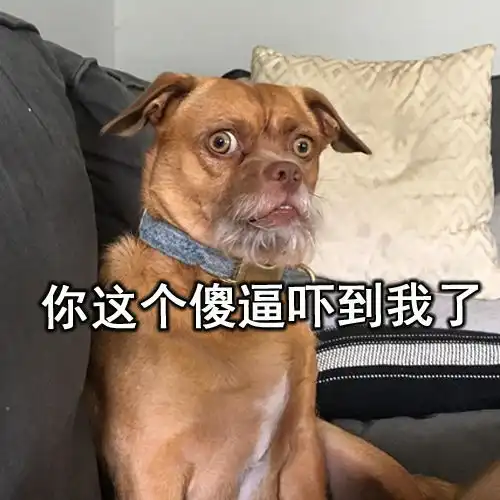 游戏表情包动态搞笑狗狗