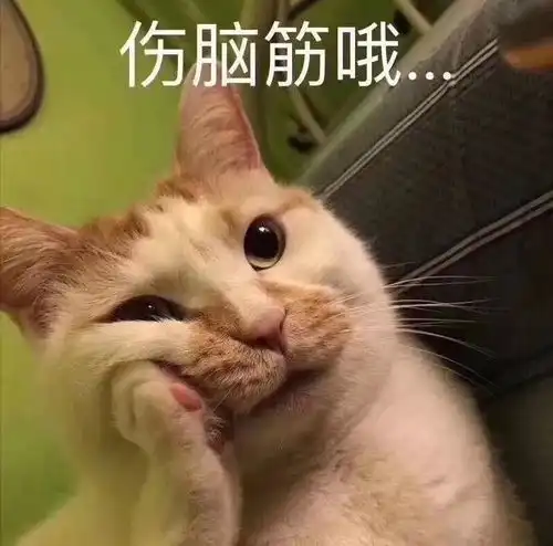 汤姆猫拍腿大笑表情包