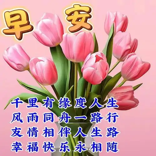 2023年11月11日周六早上好,最新版唯美祝福语图片问候语大全,愿周末愉快