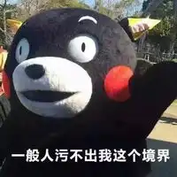 关于熊本熊系列的污qq表情大全