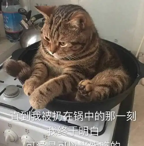 铁锅炖自己表情包集湖南