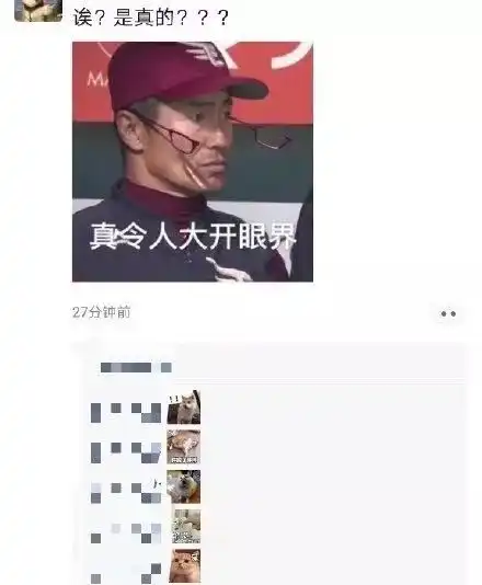 手机微信投稿表情包手机