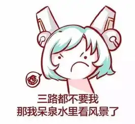 辅助之神再换爸爸蔡文姬让位,这位全能英雄登顶