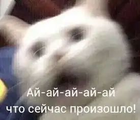 男生宿舍发生过哪些惊为天人之事