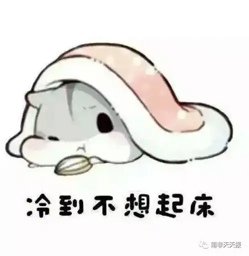 图寒流真的带来了南非的冬天,雪花飘飘,我冷得不想下床