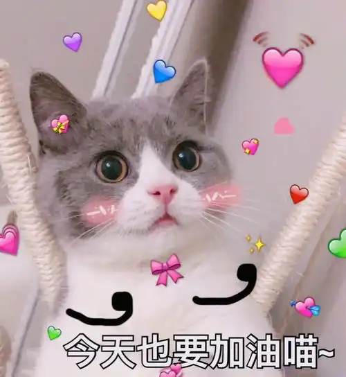 全国累计治愈人数过半,现存疑似病例不足千人厦门人即将迎来他们的春天