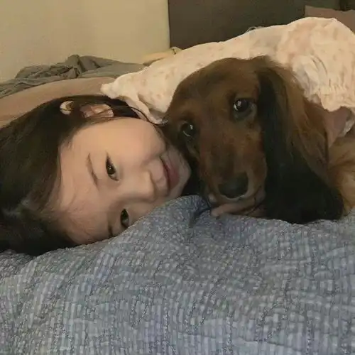 萌娃韩国金雪中国丸子yyds