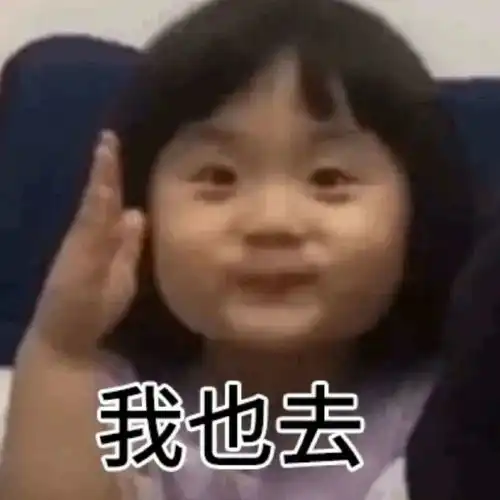 举手小女孩表情包来啦下次发言之前先举手