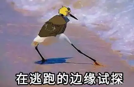 郊游表情包试探