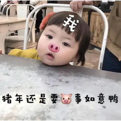 罗熙表情包新的一年我们要好好相处哦