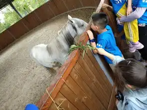 亲子夏令营第二天