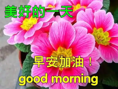 6月17日早上好动态表情图片大全,早晨好动图美图大全