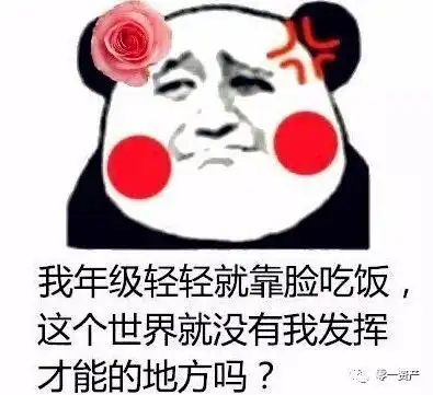 靠抢红包过日子表情包快