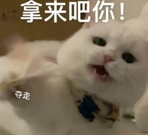 剑网三四红大侠萝莉号重出江湖,售价4.6万,这次你会买吗