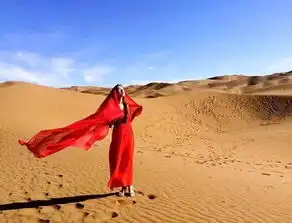 鄯善沙漠一日纯玩独立成团接送独立成团