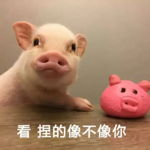 林允不仅管你皮肤水嫩,还管冬天防晒