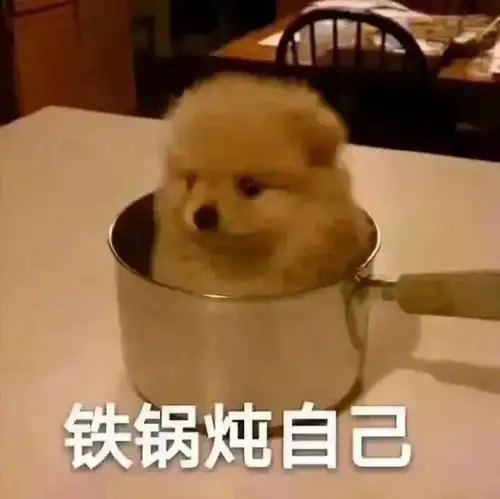 铁锅炖自己表情包集高温