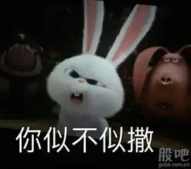 拿红萝卜的兔子表情包英