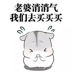 认真道歉表情包