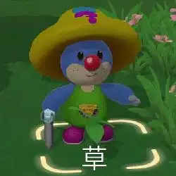 玫瑰海星,你很高贵吗,你个珍稀