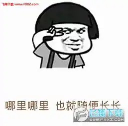 系统表情包观众