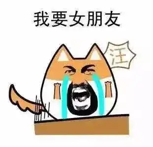 求原谅表情包搞笑图片哈