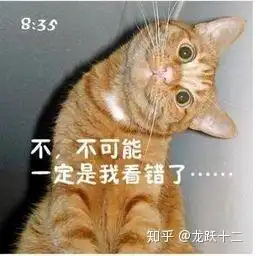 搞笑微信表情包猫咪天来