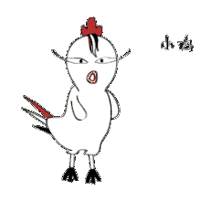 慧成功200元创业,斩获千万营业额,打造完美鸡生的男人