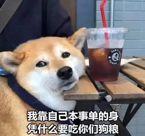 我们一起学单身狗叫,一起汪汪汪