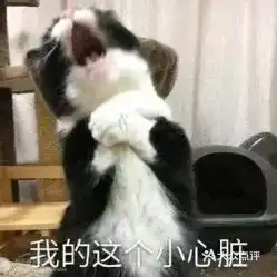 掩面哭泣表情包主人