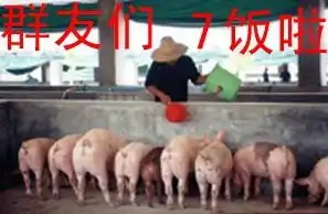 qq表情搞笑qq表情古怪趣味群友们,七饭啦