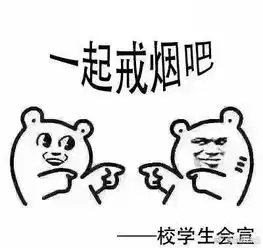 菌闻天下菌菌带你看世界