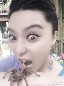 范冰冰与蜘蛛零距离接触表情搞怪多变