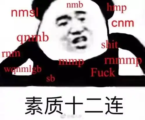 韩国速滑赛道令人齿冷,可中国追星小姐姐让这个冬天光芒万丈