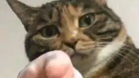 rc匪徒的购买改装和使用20190129更新